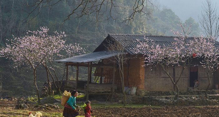 Ngắm bộ ảnh mùa xuân ở Hà Giang đẹp ngỡ ngàng trong từng khoảnh khắc
