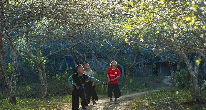 Ngắm bộ ảnh mùa xuân ở Hà Giang đẹp ngỡ ngàng trong từng khoảnh khắc