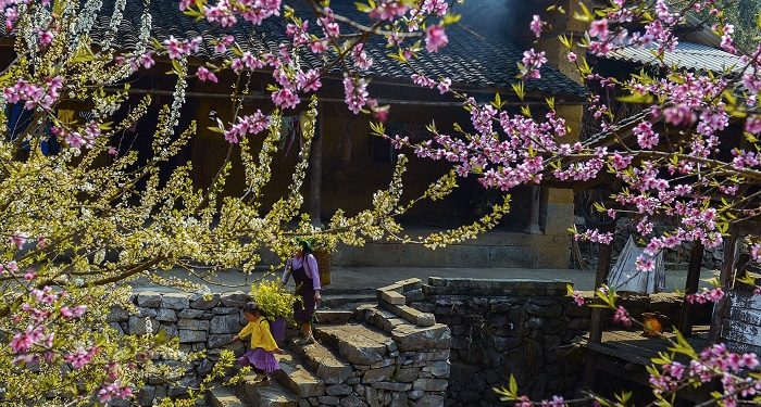 Ngắm bộ ảnh mùa xuân ở Hà Giang đẹp ngỡ ngàng trong từng khoảnh khắc