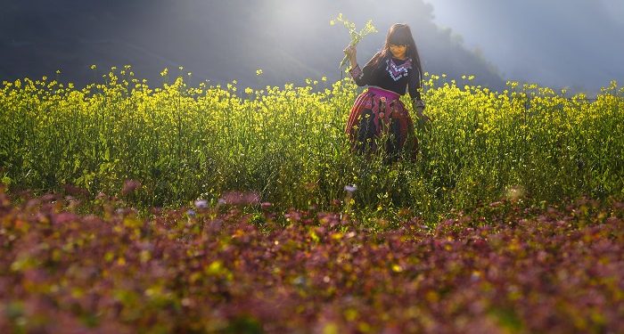 Ngắm bộ ảnh mùa xuân ở Hà Giang đẹp ngỡ ngàng trong từng khoảnh khắc