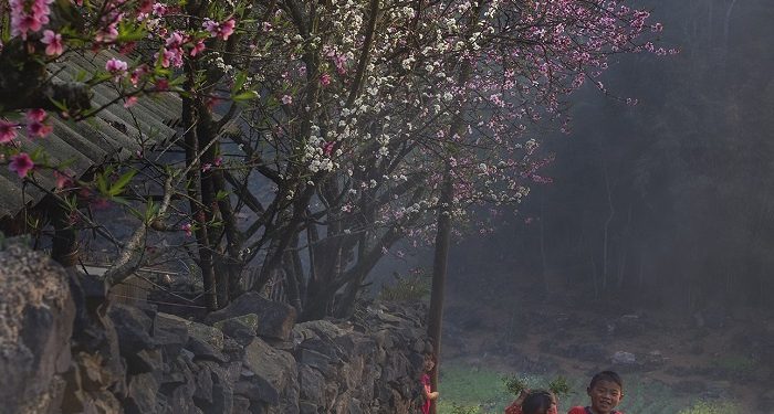 Ngắm bộ ảnh mùa xuân ở Hà Giang đẹp ngỡ ngàng trong từng khoảnh khắc
