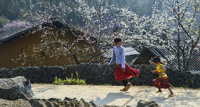 Ngắm bộ ảnh mùa xuân ở Hà Giang đẹp ngỡ ngàng trong từng khoảnh khắc