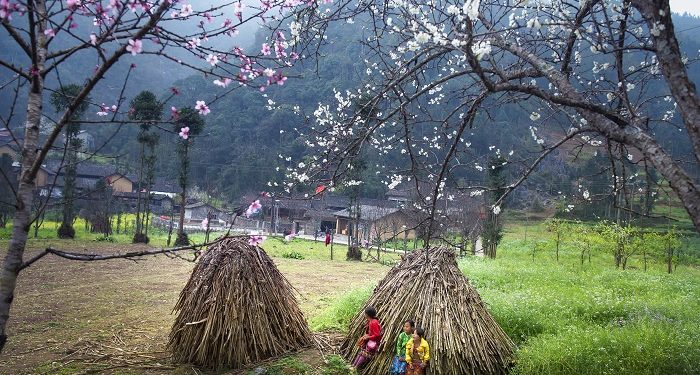Ngắm bộ ảnh mùa xuân ở Hà Giang đẹp ngỡ ngàng trong từng khoảnh khắc