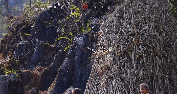 Ngắm bộ ảnh mùa xuân ở Hà Giang đẹp ngỡ ngàng trong từng khoảnh khắc