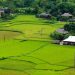 Vẻ đẹp bất tận non nước Hà Giang vào chớm thu