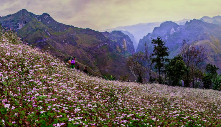 Hà Giang tươi sáng “bức tranh” kinh tế sau 130 thành lập tỉnh