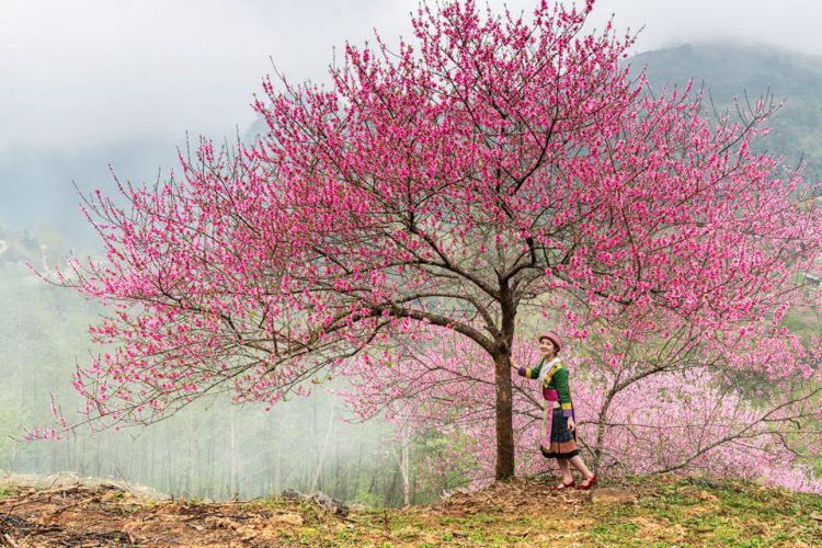 Sắc xuân trên vùng cao Hà Giang