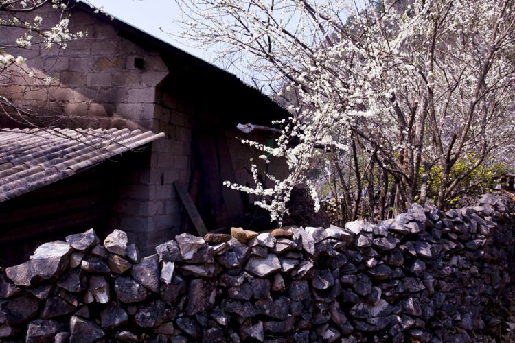 Khám phá “Tết sớm” độc đáo – Tết người Mông ở Hà Giang