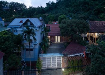Nhà ngói Bắc Bộ ‘ẩn mình’ trong rừng cây