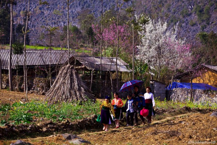 Khám phá “Tết sớm” độc đáo – Tết người Mông ở Hà Giang