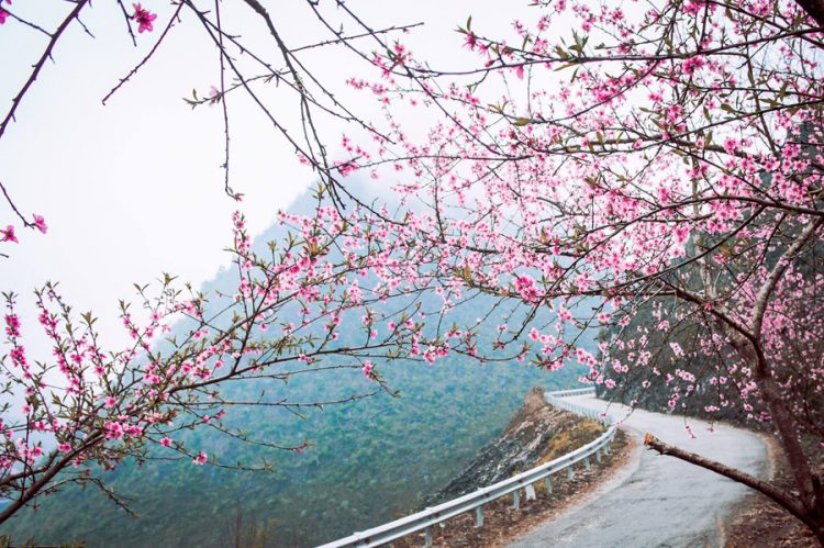 Khám phá “Tết sớm” độc đáo – Tết người Mông ở Hà Giang