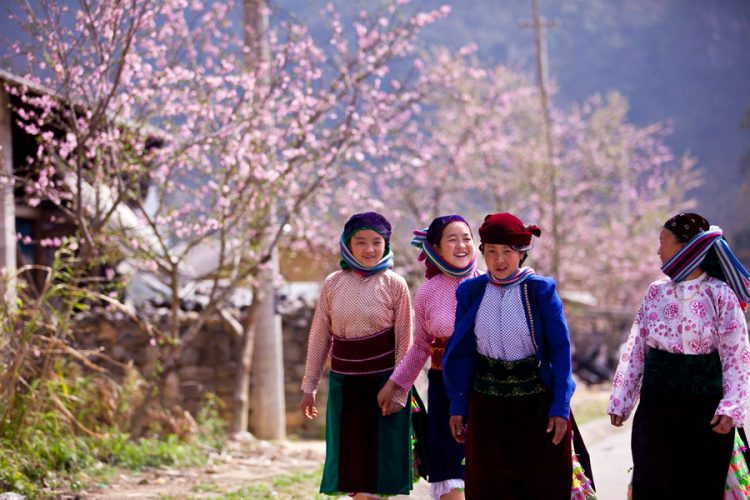 Khám phá “Tết sớm” độc đáo – Tết người Mông ở Hà Giang