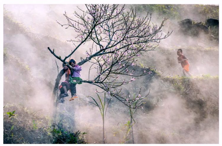 Sắc xuân trên vùng cao Hà Giang