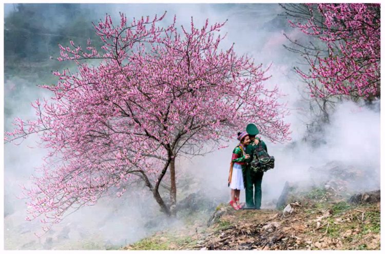 Sắc xuân trên vùng cao Hà Giang