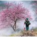 Sắc xuân trên vùng cao Hà Giang
