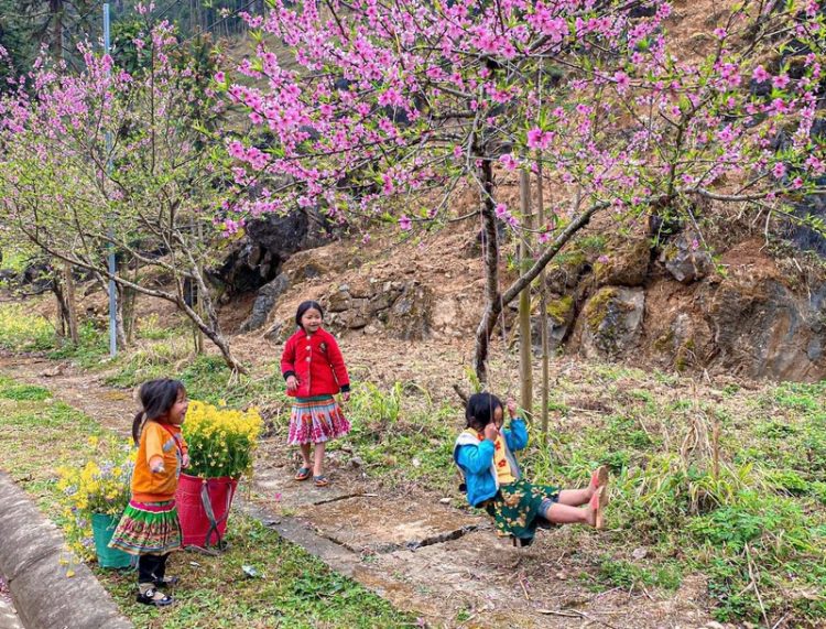 Sắc xuân trên miền đá Hà Giang