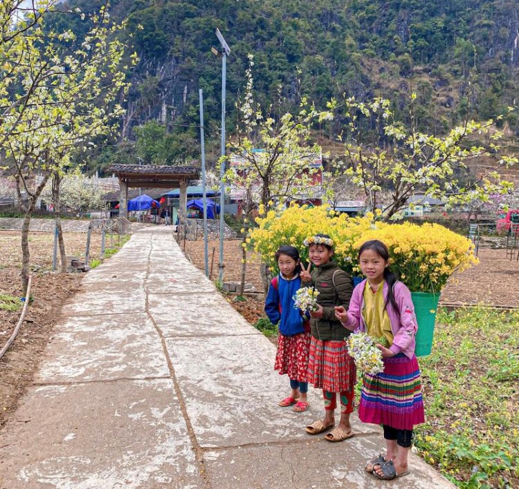 Sắc xuân trên miền đá Hà Giang