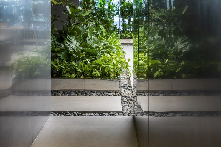 Khu vườn ngoài trời trong một khối bê tông cao tầng