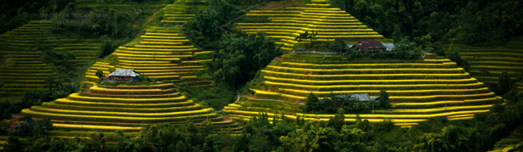 Những thứ có, khó và vượt khó để giàu có