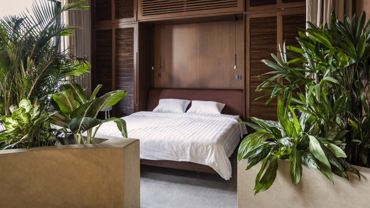 Rừng nhiệt đới trong căn hộ Sài Gòn