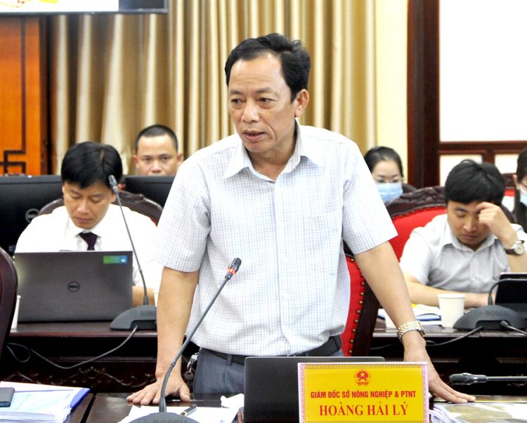 Thường trực UBND tỉnh nghe báo cáo công tác quy hoạch