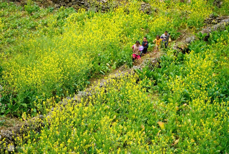 Cẩm nang du lịch Hà Giang