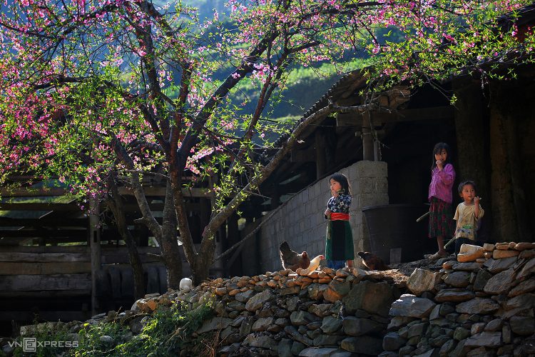Cẩm nang du lịch Hà Giang