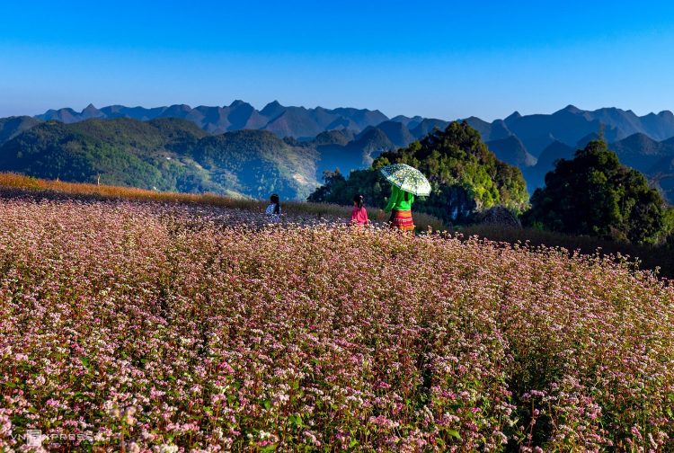 Cẩm nang du lịch Hà Giang