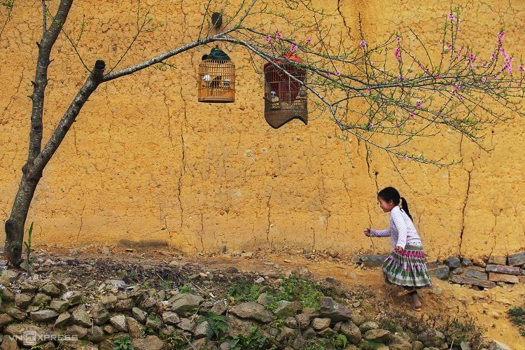 Cẩm nang du lịch Hà Giang