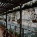 Căn hộ có gần nửa diện tích là ban công