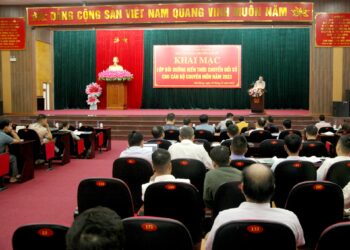 Bồi dưỡng kiến thức chuyển đổi số cho cán bộ chuyên môn năm 2023.