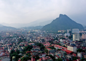 Những mùa heo may về